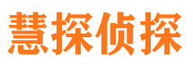 天心市侦探调查公司